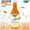ORANGE - SUGAR FREE SYRUP